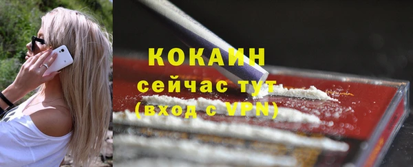 твердый Бронницы