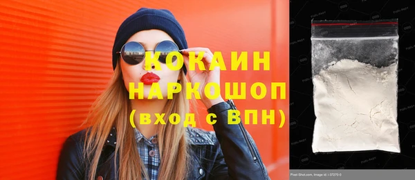 индика Верхний Тагил