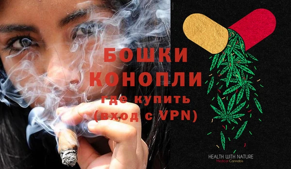 ECSTASY Бородино