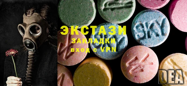 ECSTASY Бородино