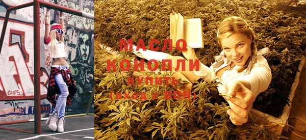 ECSTASY Бородино
