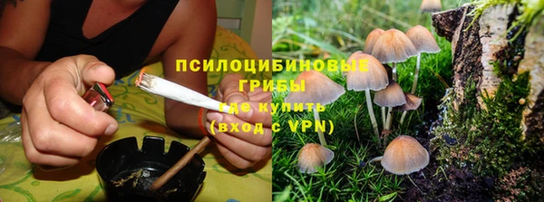 индика Верхний Тагил