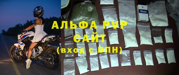 ECSTASY Бородино