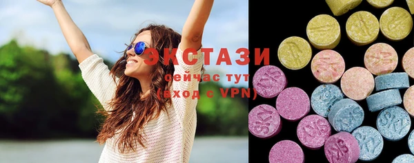 ECSTASY Бородино