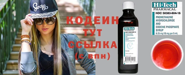 ECSTASY Бородино